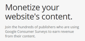 monetize your websites content