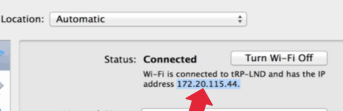 check IP address