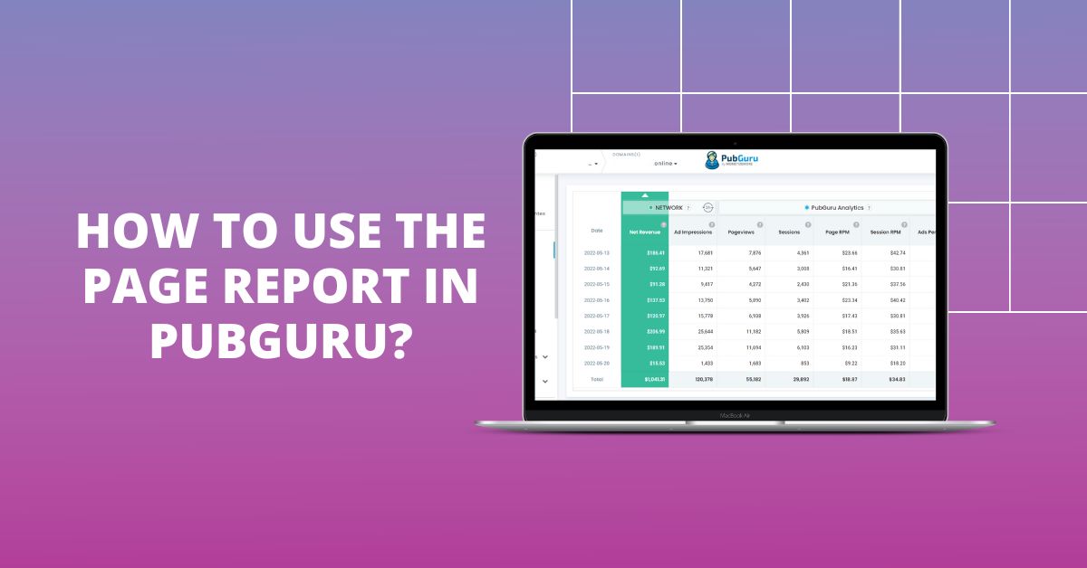 How-to-use-page-report-pubguru